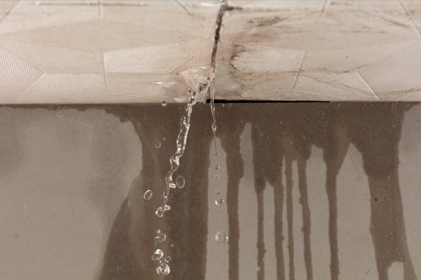 Professional Water Damage Restoration technician working in Webster, IN